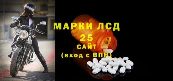 спиды Медвежьегорск