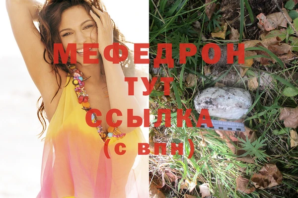спиды Медвежьегорск