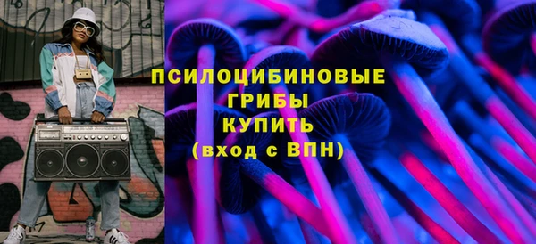 спиды Медвежьегорск