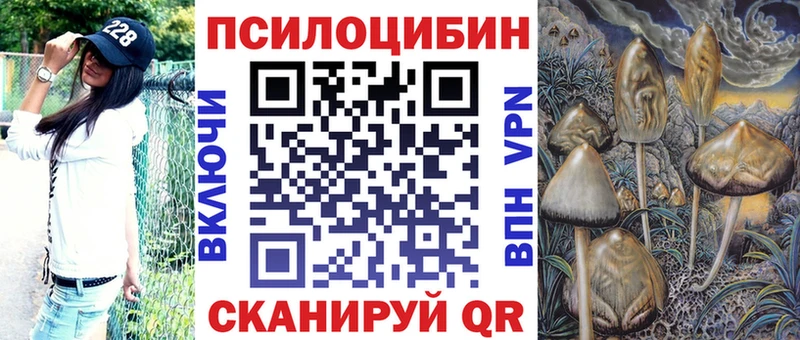 ссылка на мегу как войти  Циолковский  Галлюциногенные грибы мухоморы 